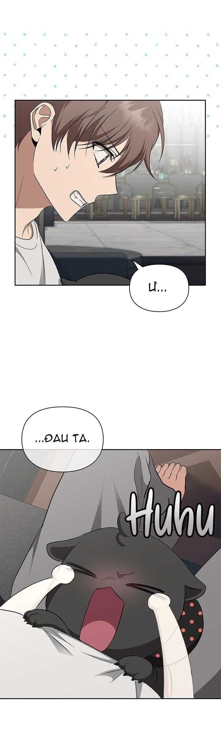 KHỞI TẠO KẾT ẨN Chapter 15 - Trang 2