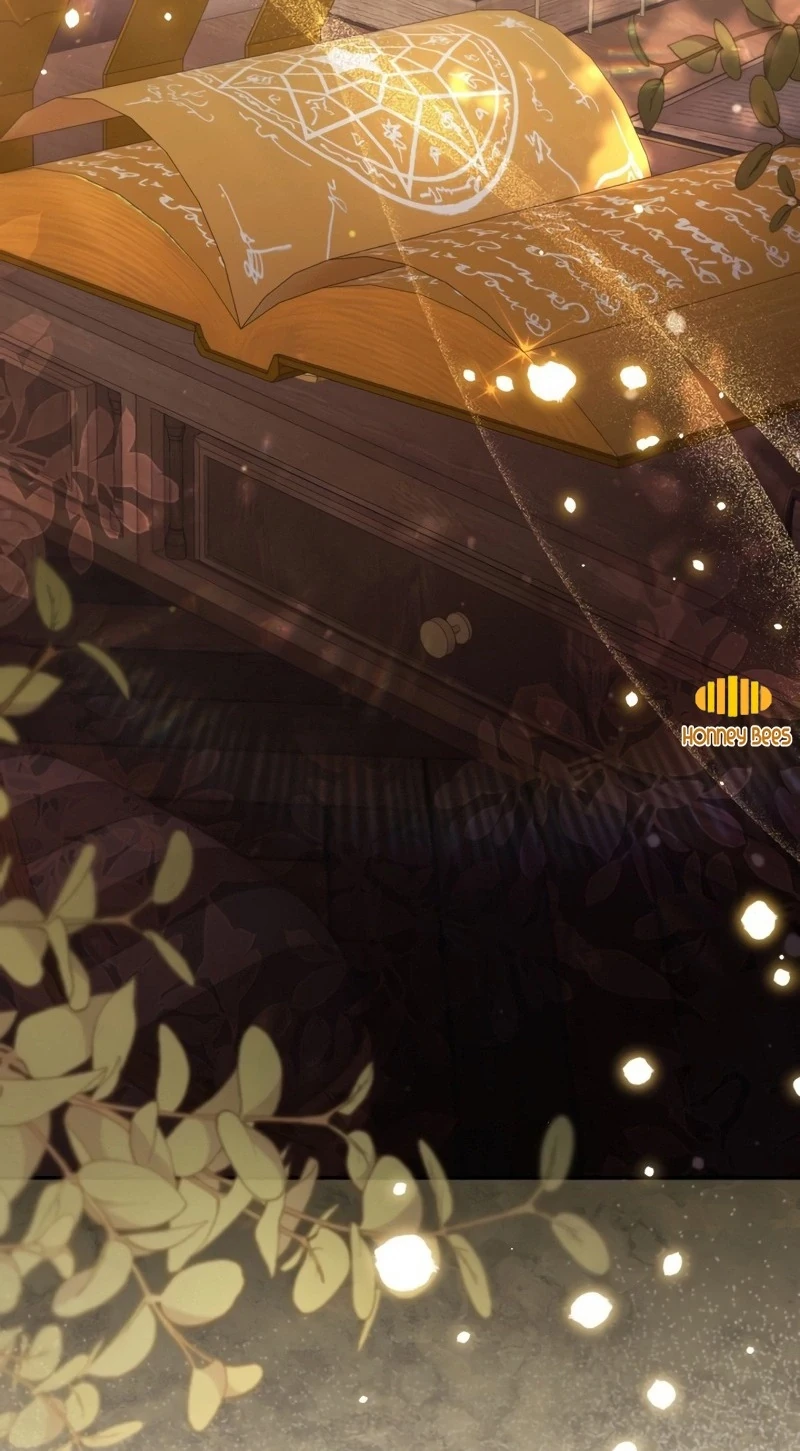 Không Có Nơi Nào Dành Cho Công Chúa Giả Mạo Chapter 82 - Trang 2