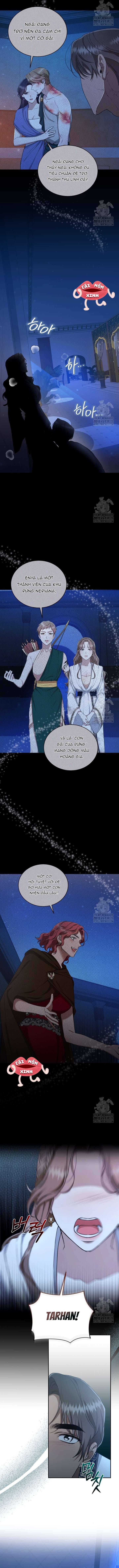 Khu Rừng Hoang Dã Chapter 22 - Trang 2