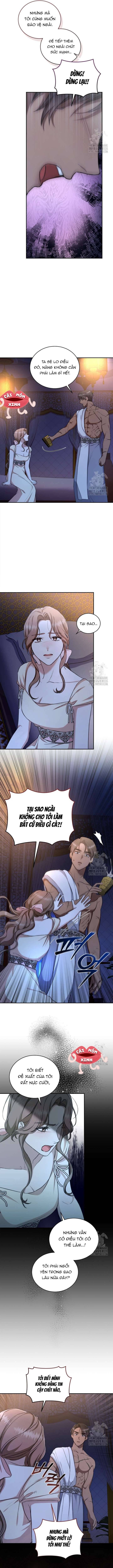 Khu Rừng Hoang Dã Chapter 22 - Trang 2