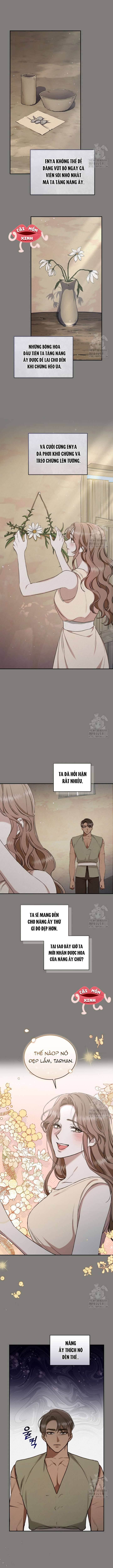 Khu Rừng Hoang Dã Chapter 26 - Next 