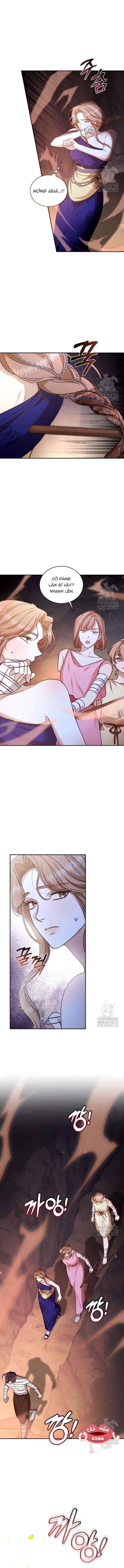 Khu Rừng Hoang Dã Chapter 31 5