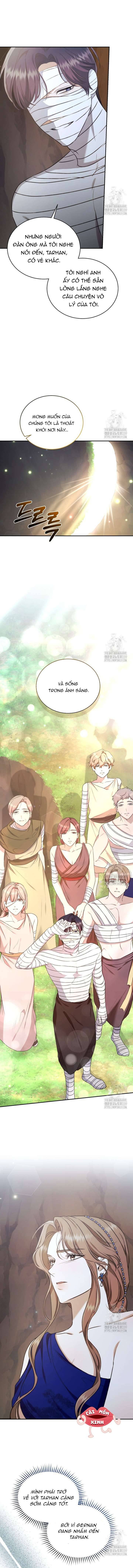 Khu Rừng Hoang Dã Chapter 31 11