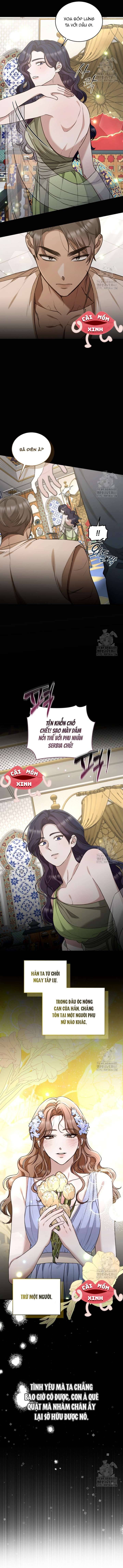 Khu Rừng Hoang Dã Chapter 44 - Trang 2