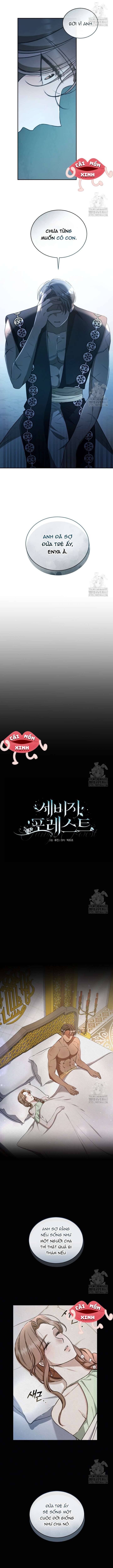 Khu Rừng Hoang Dã Chapter 46 - Next 