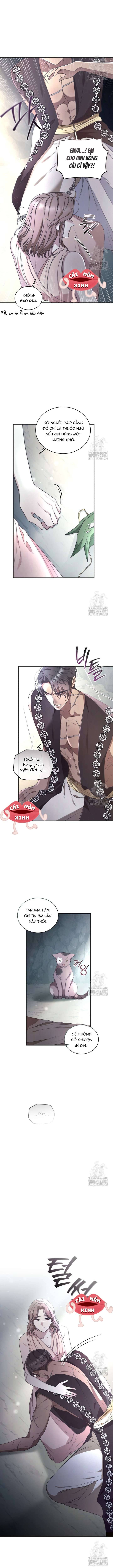 Khu Rừng Hoang Dã Chapter 46 - Next 