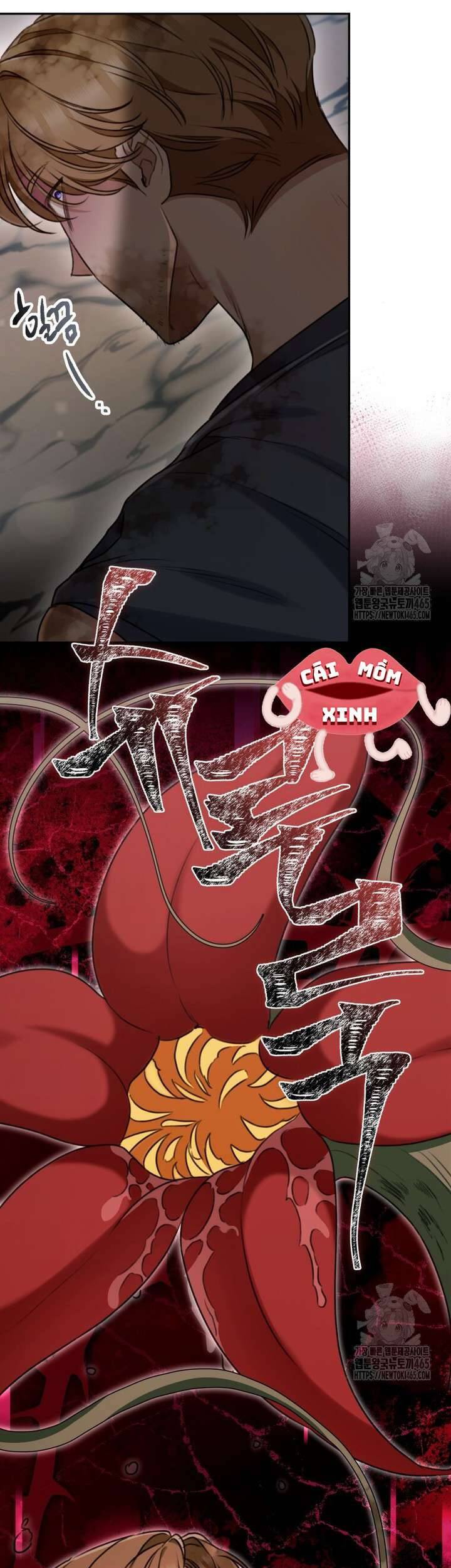 Khu Rừng Hoang Dã Chapter 50 - Trang 2