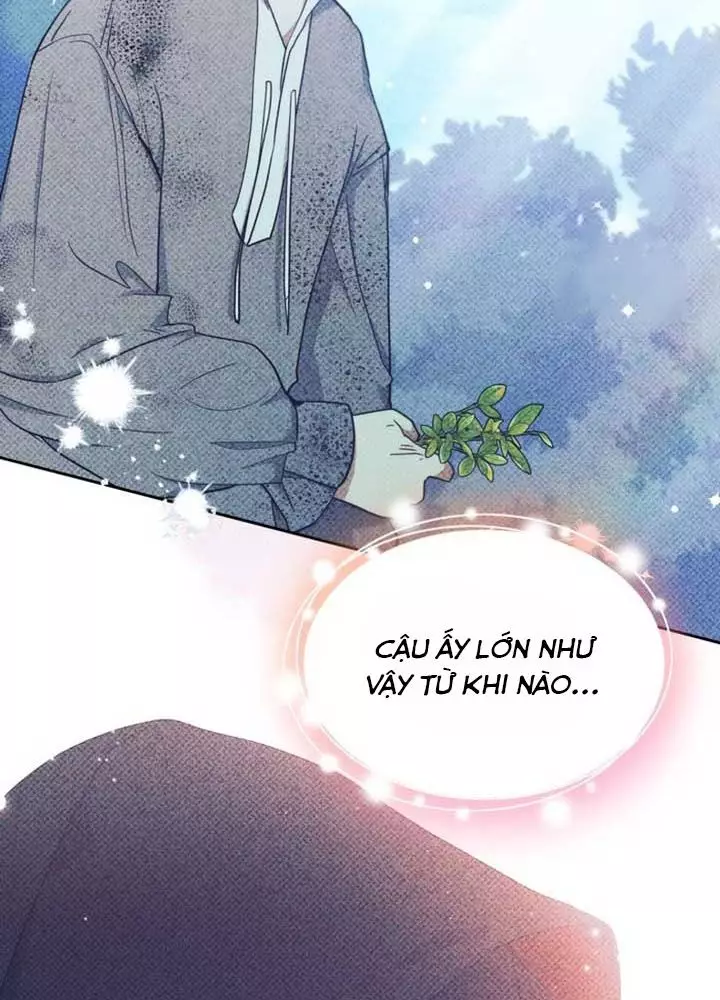 Kiếp Này Tôi Sẽ Trở Thành Gia Chủ Chapter 177 21