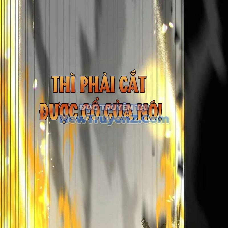 Kim Chiến Sĩ: Hành Trình Xây Dựng Đặc Tính Chapter 39 - Trang 2