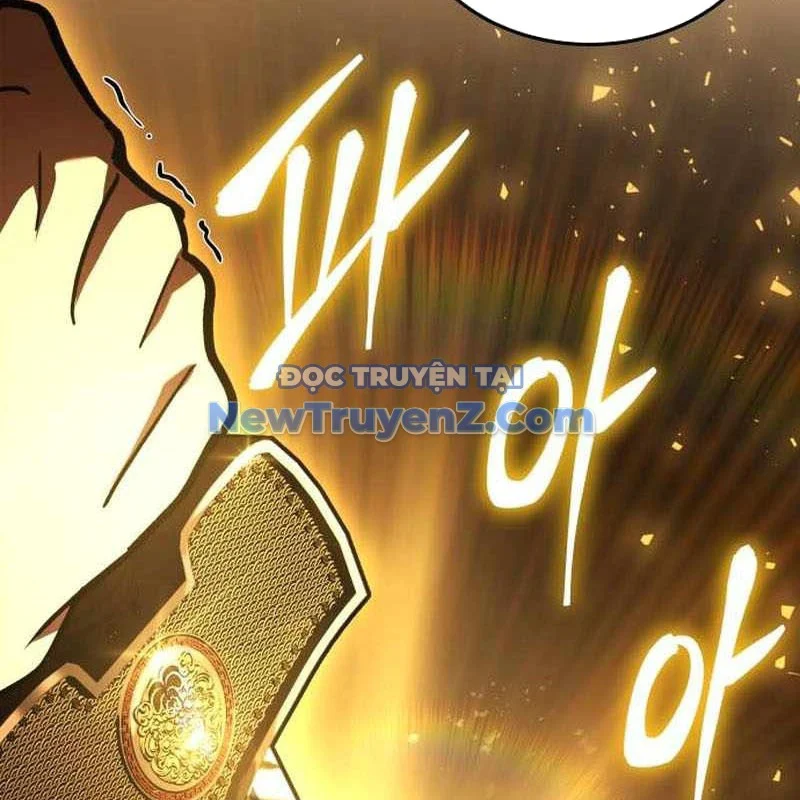 Kim Chiến Sĩ: Hành Trình Xây Dựng Đặc Tính Chapter 39 - Trang 2