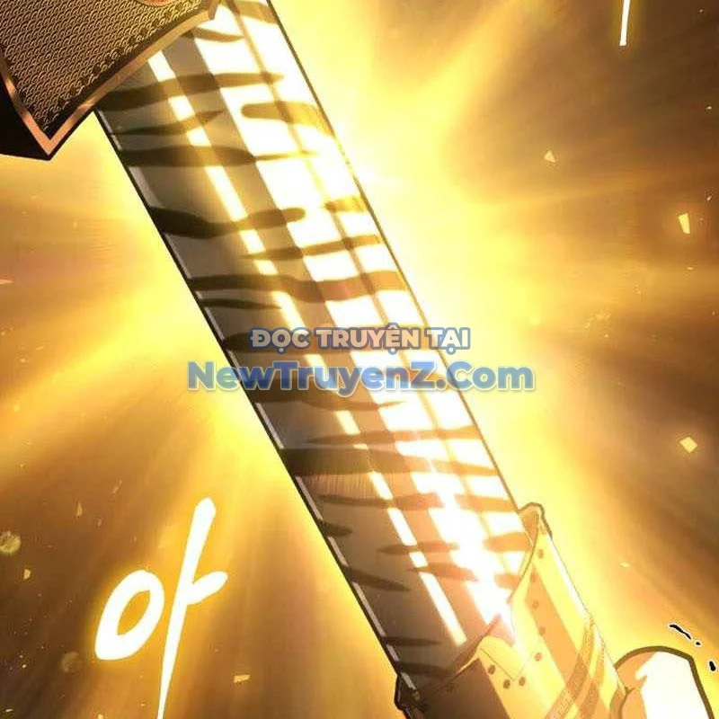 Kim Chiến Sĩ: Hành Trình Xây Dựng Đặc Tính Chapter 39 - Trang 2