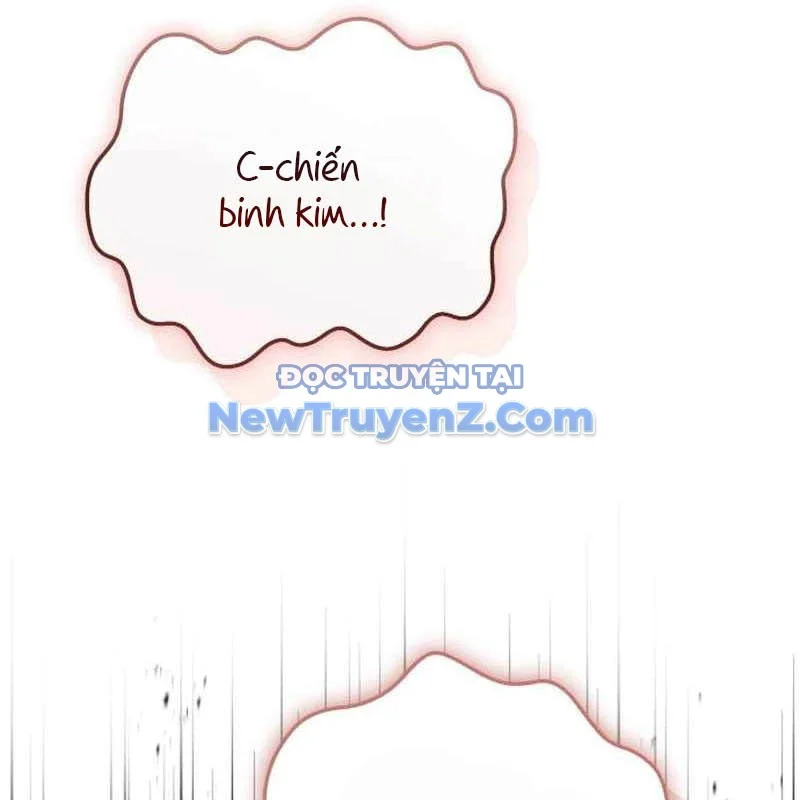 Kim Chiến Sĩ: Hành Trình Xây Dựng Đặc Tính Chapter 40 - Trang 2