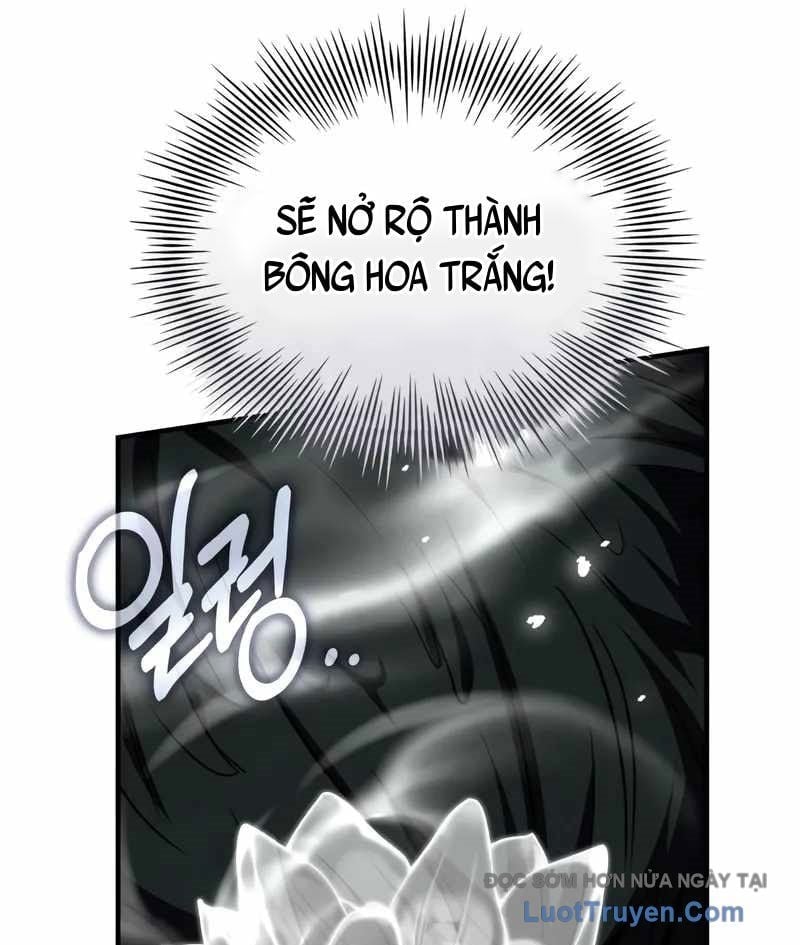 Kim Chiến Sĩ: Hành Trình Xây Dựng Đặc Tính Chapter 63 - Trang 2