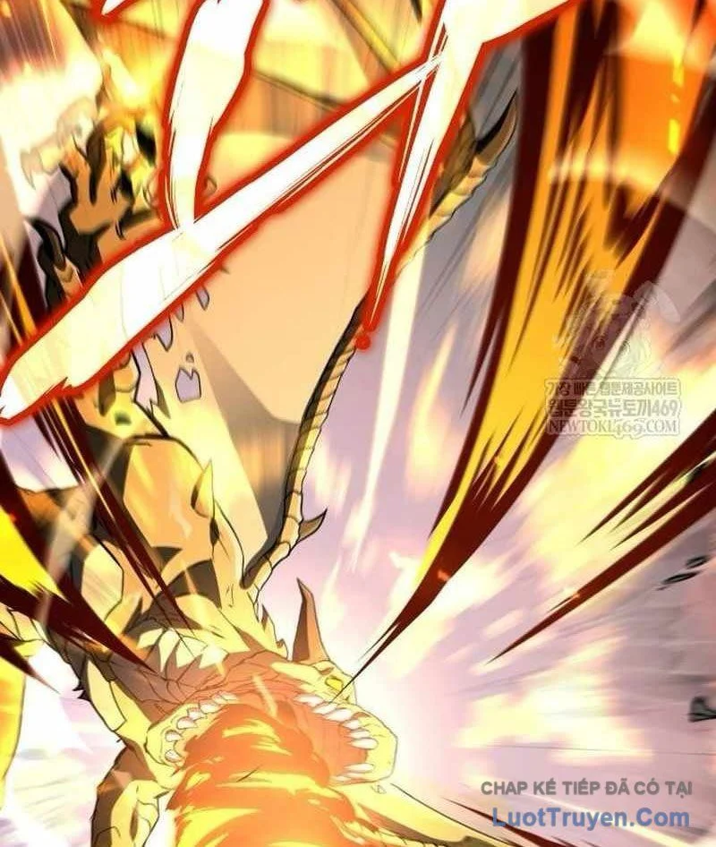 Kim Chiến Sĩ: Hành Trình Xây Dựng Đặc Tính Chapter 66 - Trang 2