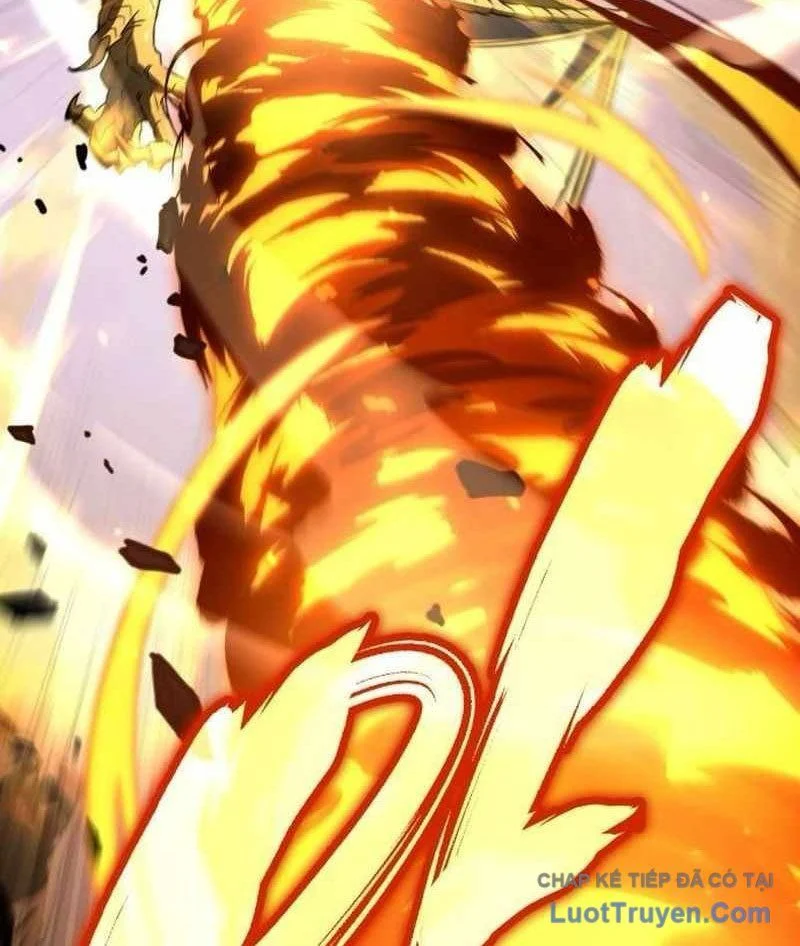 Kim Chiến Sĩ: Hành Trình Xây Dựng Đặc Tính Chapter 66 - Trang 2