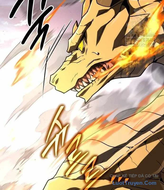 Kim Chiến Sĩ: Hành Trình Xây Dựng Đặc Tính Chapter 67 - Trang 2