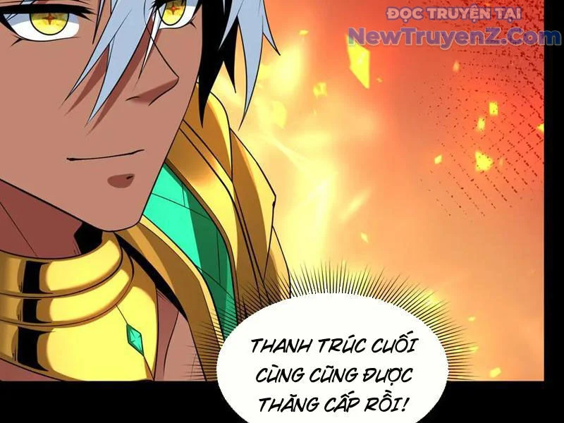 Kỷ Nguyên Kỳ Lạ Chapter 478 - Trang 2