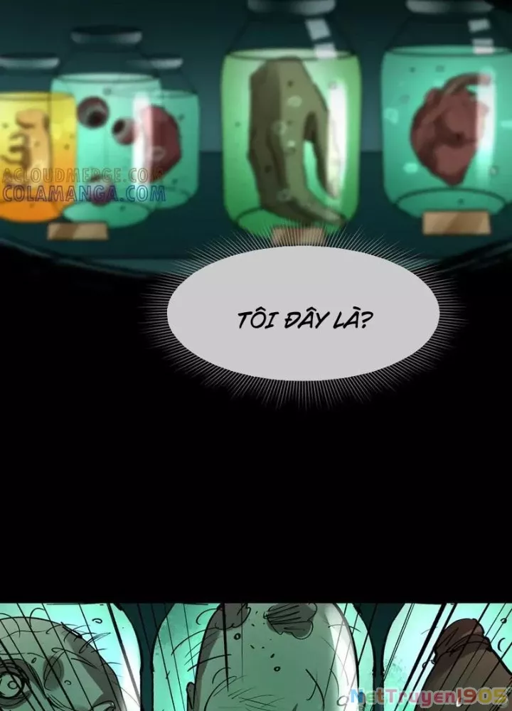 Kỷ Nguyên Kỳ Lạ Chapter 507 - Trang 2