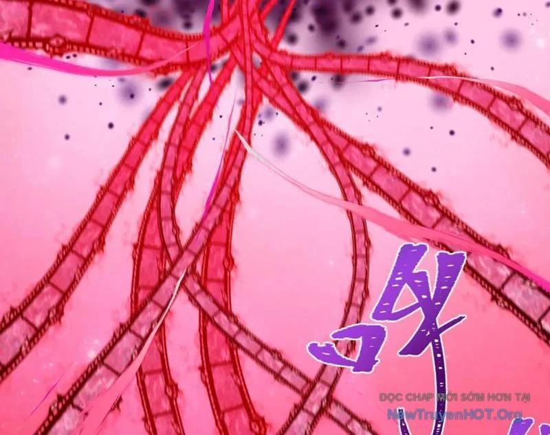 Kỷ Nguyên Kỳ Lạ Chapter 511 - Trang 3