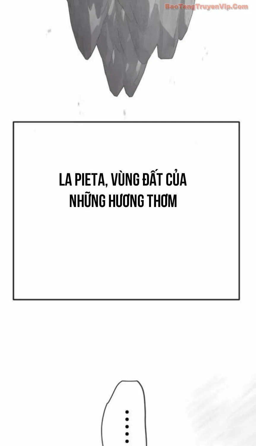 Kỷ Nguyên Siêu Anh Hùng Chapter 226 212