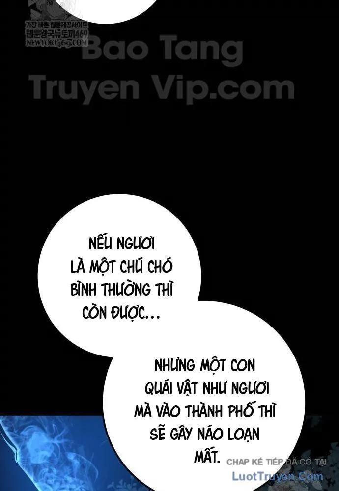 kỵ sĩ lang thang Chapter 18 17