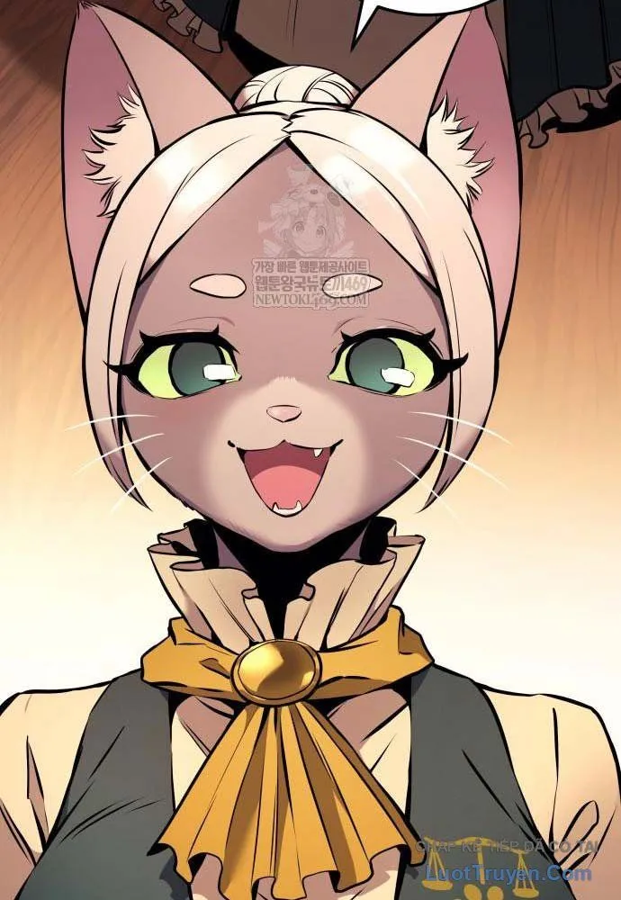 kỵ sĩ lang thang chapter 19 14