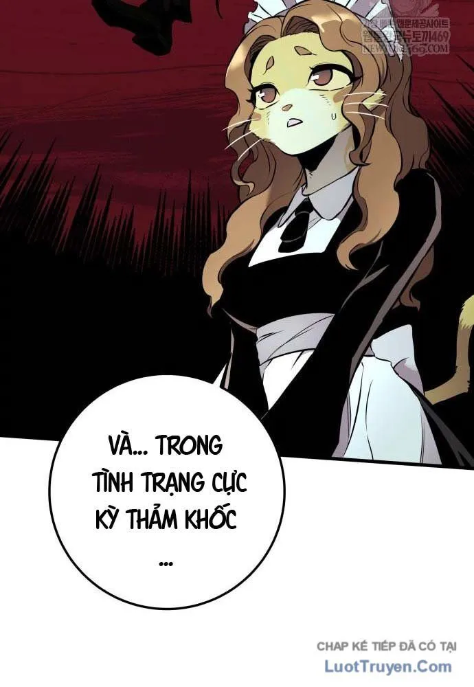 kỵ sĩ lang thang chapter 19 185