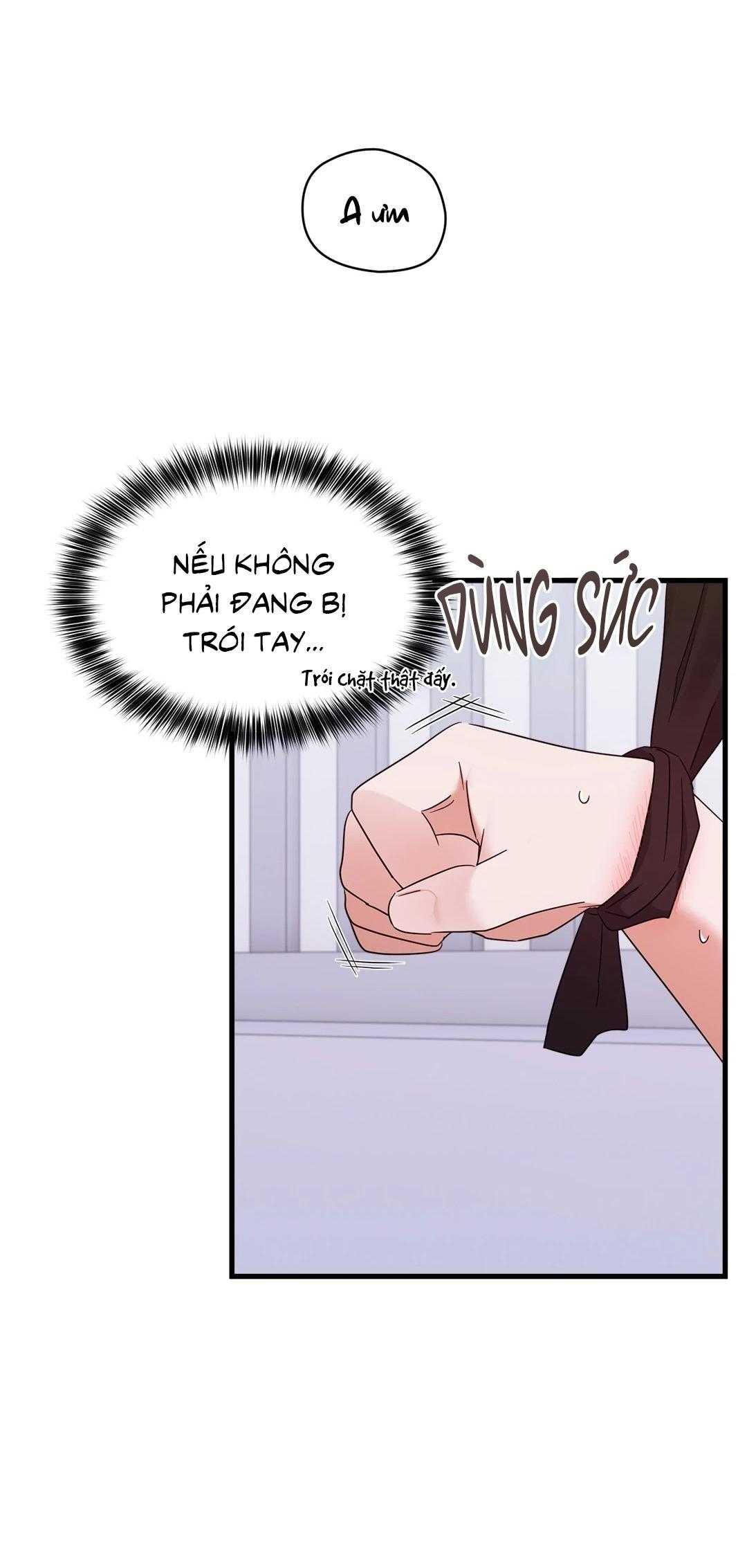 Ký Sự Alpha Chapter 28 - Trang 3