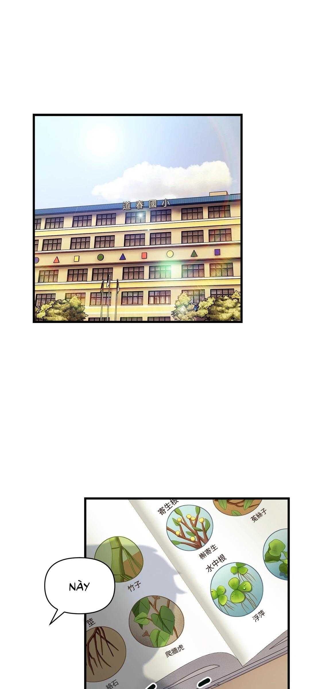 Ký Sự Alpha Chapter 30 - Trang 2