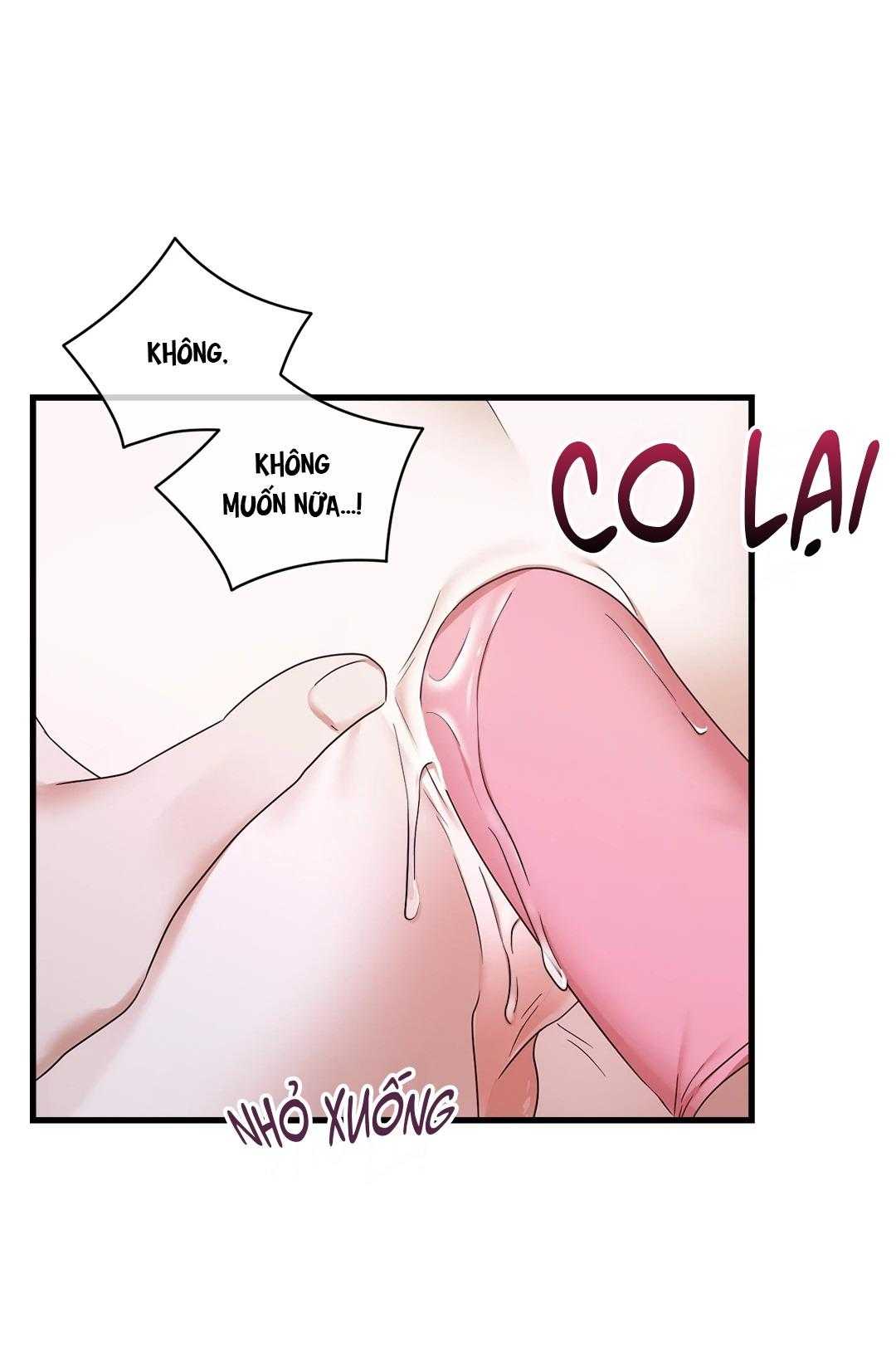 Ký Sự Alpha Chapter 31 - Trang 2