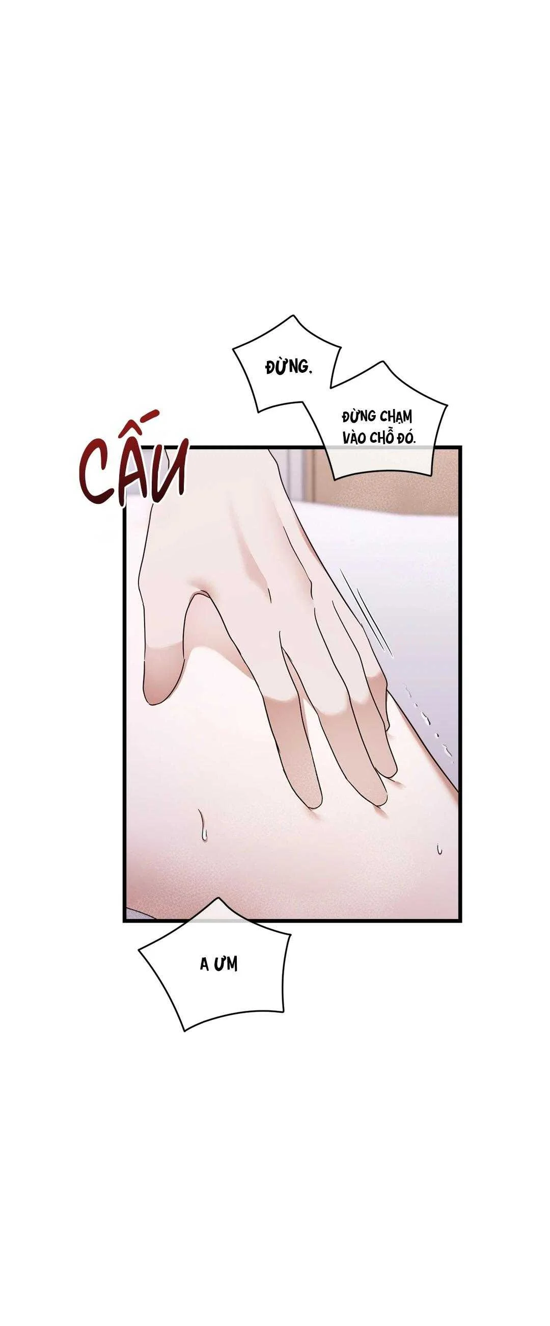 Ký Sự Alpha Chapter 32 - Next 