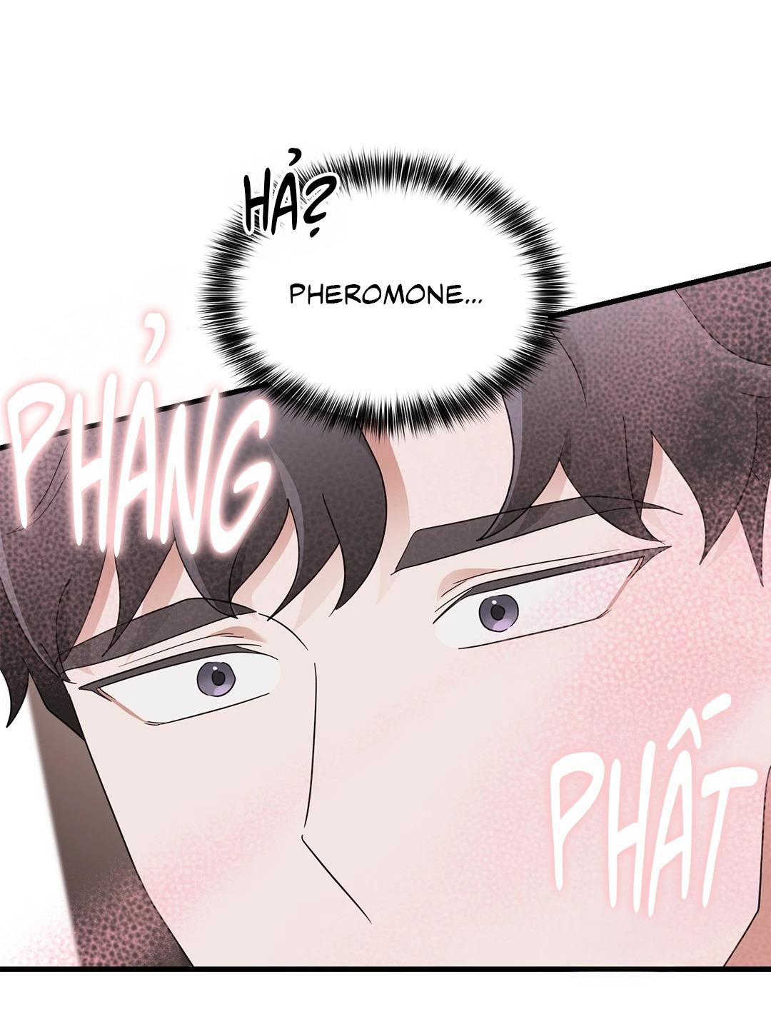 Ký Sự Alpha Chapter 33 - Next 