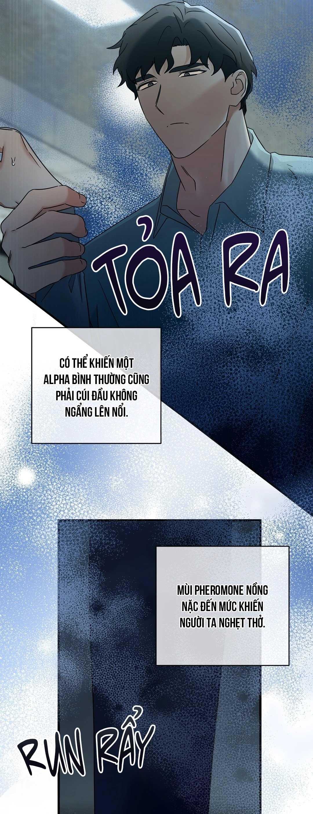 Ký Sự Alpha Chapter 45 - Trang 3