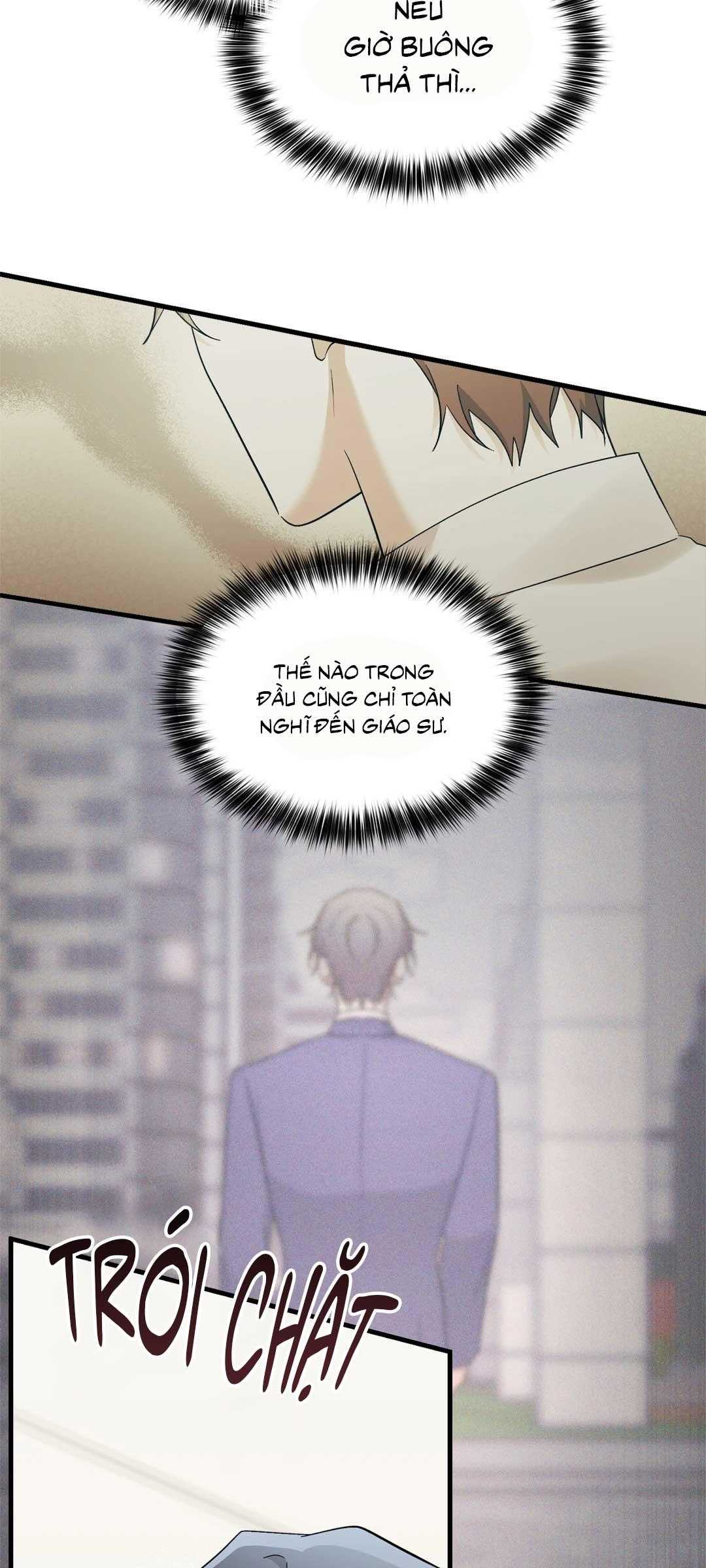 Ký Sự Alpha Chapter 48 - Trang 3