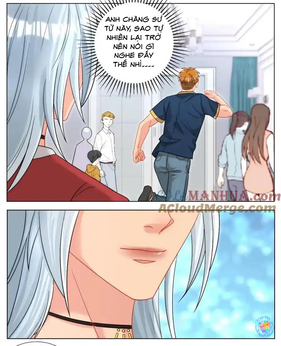 Ký túc xá nam phòng 303 Chapter 247 - Trang 2