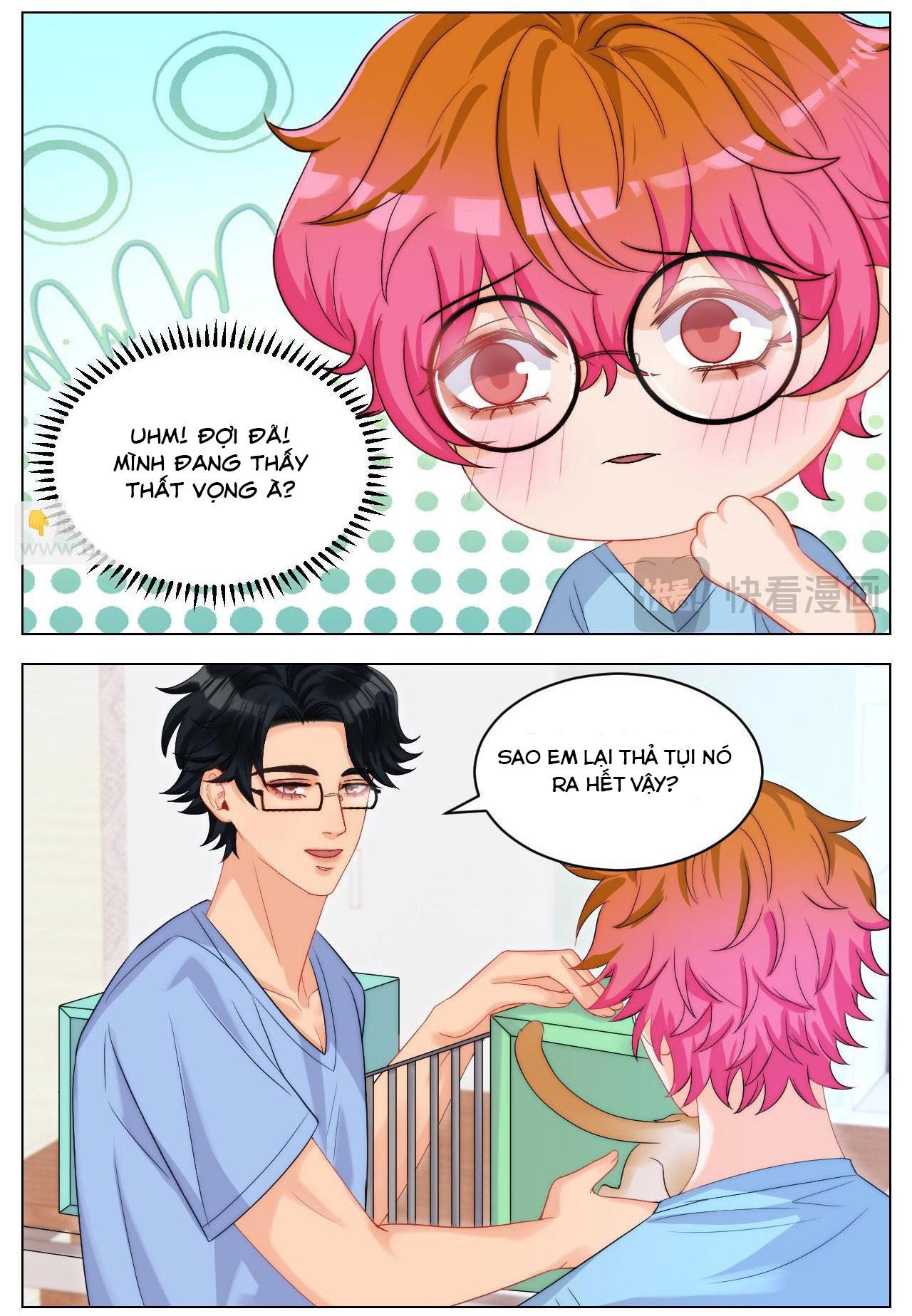 Ký túc xá nam phòng 303 Chapter 249 - Trang 2