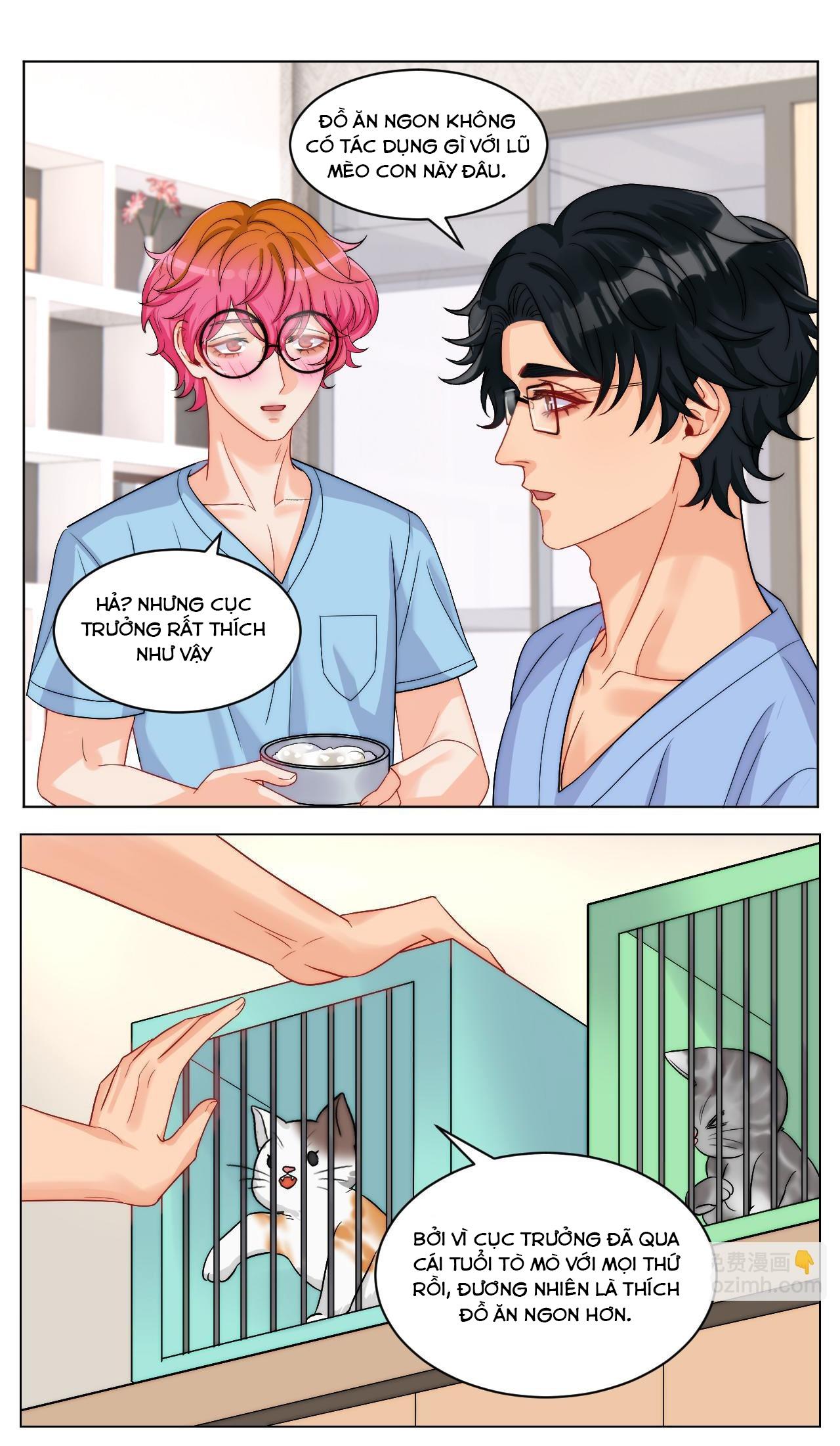 Ký túc xá nam phòng 303 Chapter 249 - Trang 2