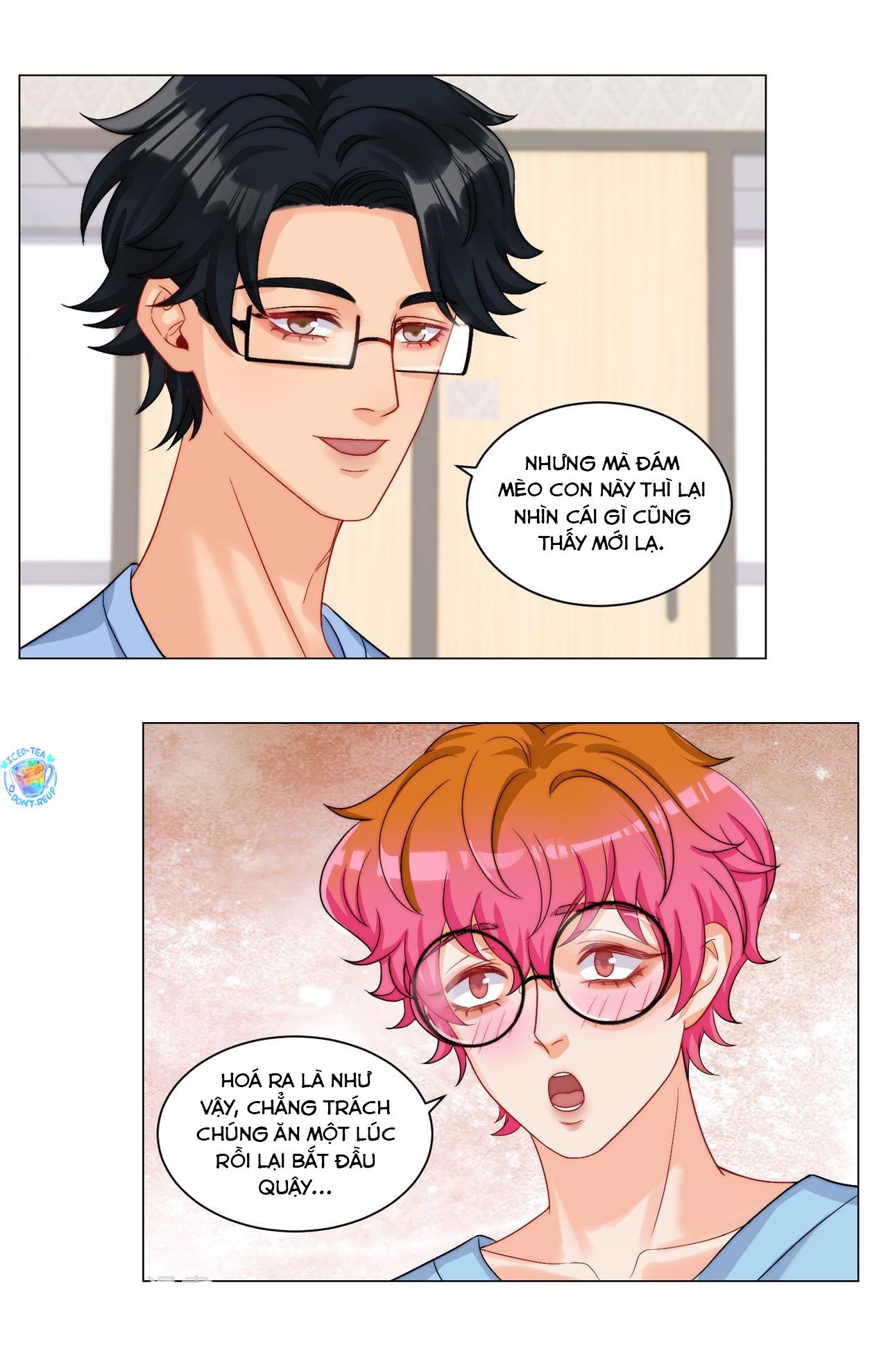 Ký túc xá nam phòng 303 Chapter 249 - Trang 2