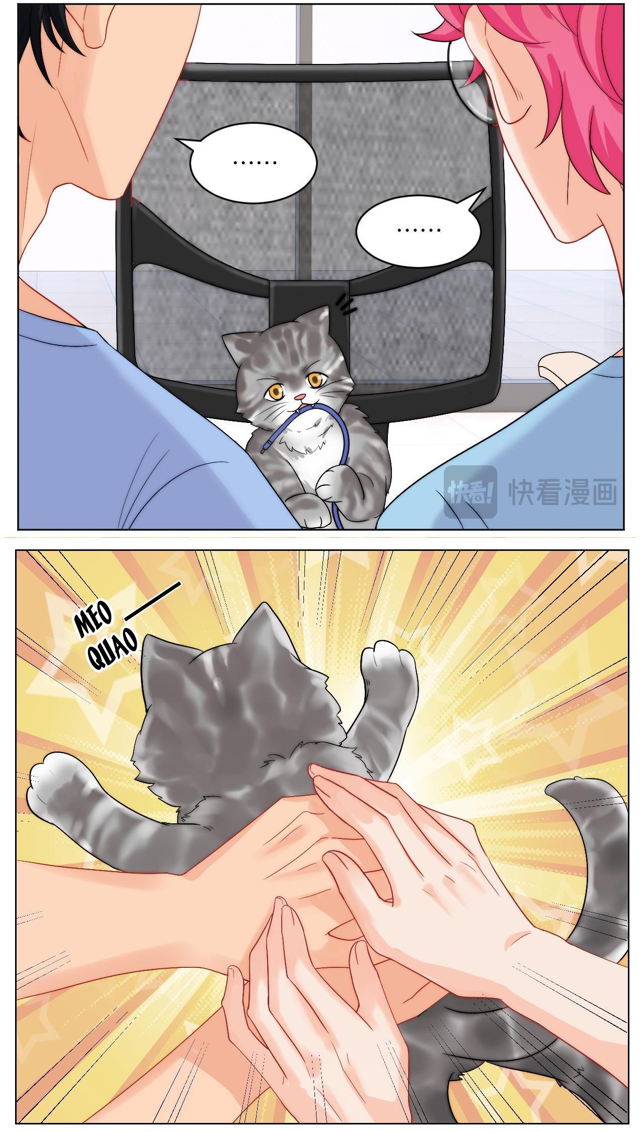 Ký túc xá nam phòng 303 Chapter 249 - Trang 2