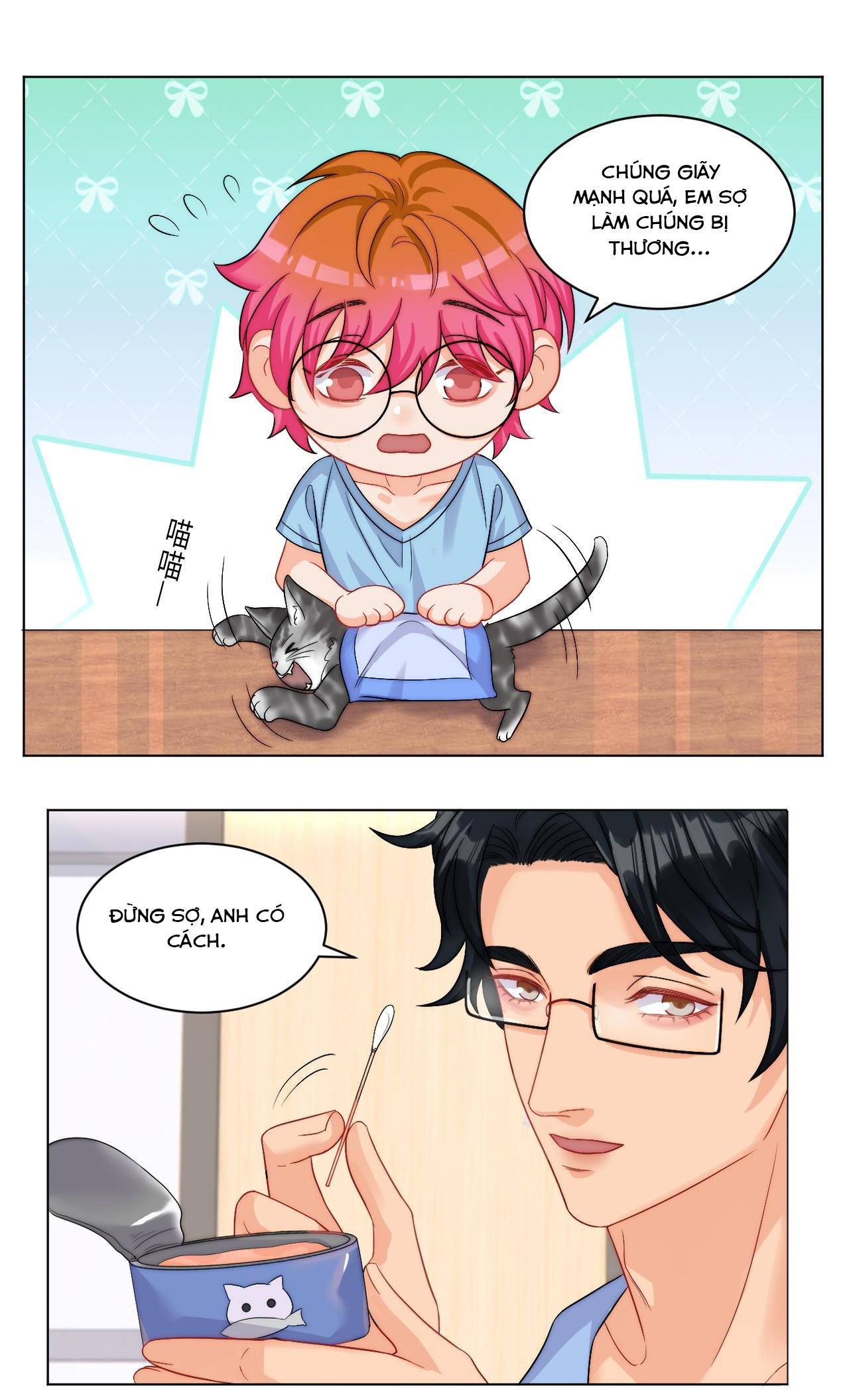 Ký túc xá nam phòng 303 Chapter 249 - Trang 2