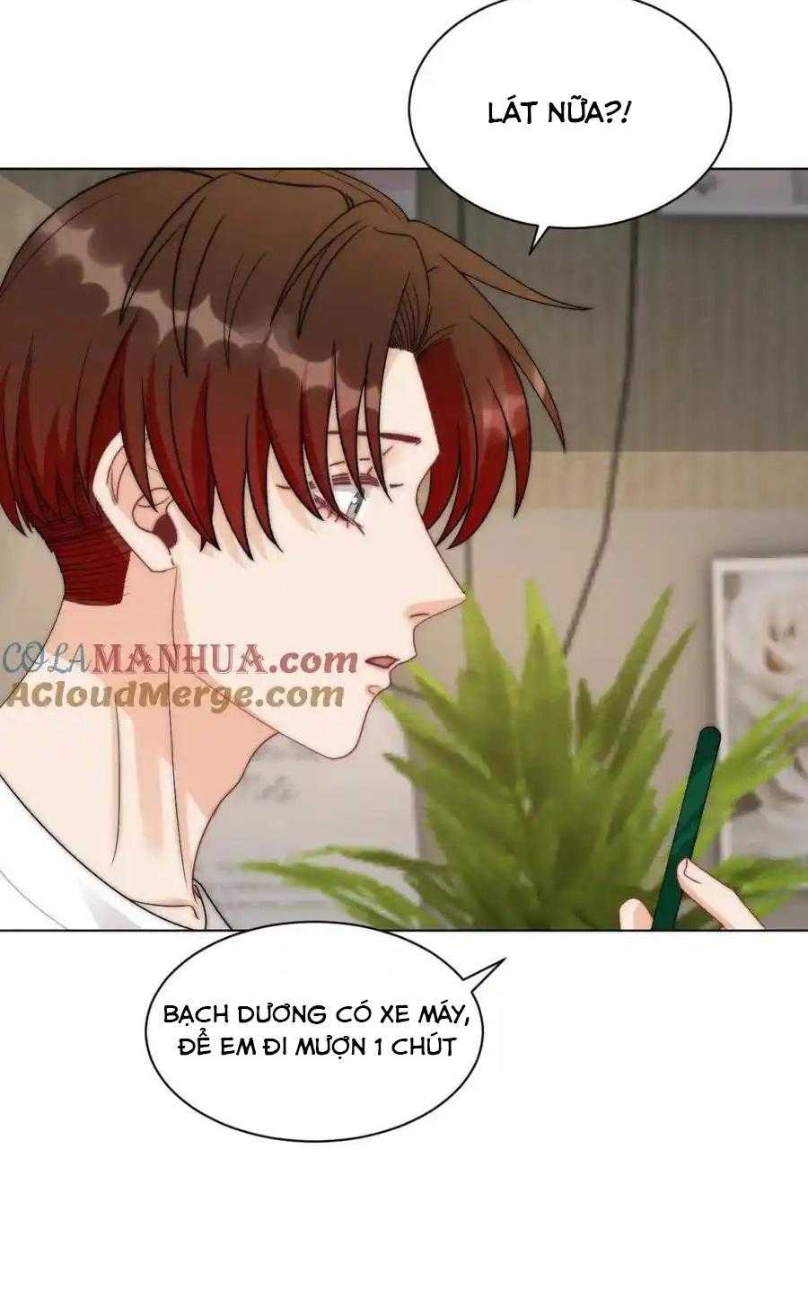 Ký túc xá nam phòng 303 Chapter 254 - Trang 3