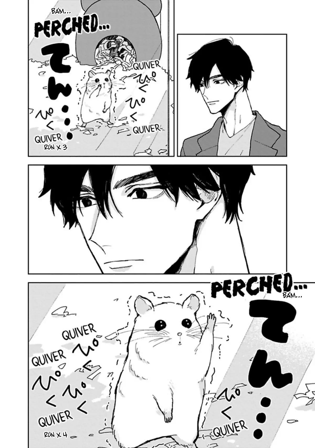 Lạc Lối Tình Yêu Chapter 6 -END - Trang 3