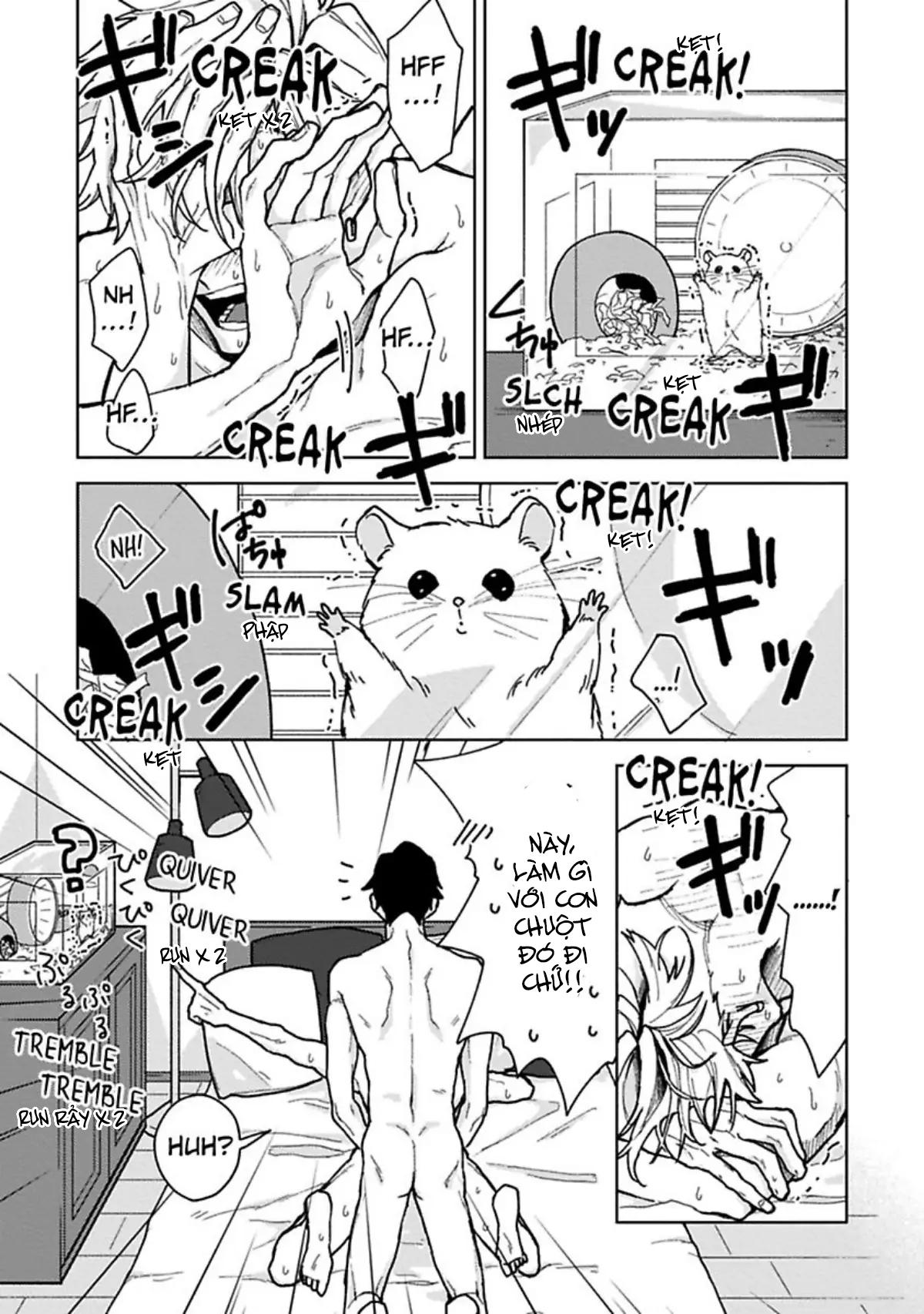 Lạc Lối Tình Yêu Chapter 6 -END - Trang 3