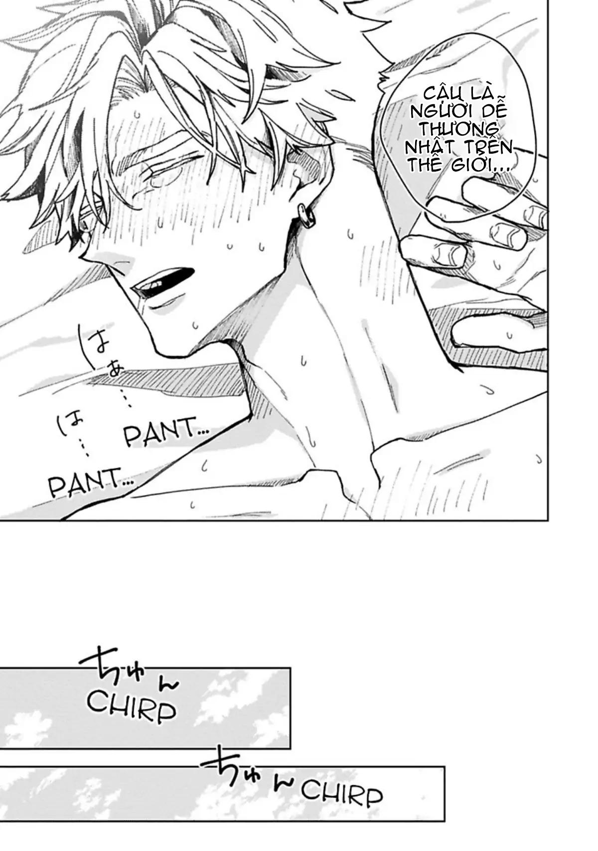 Lạc Lối Tình Yêu Chapter 6 -END - Trang 3