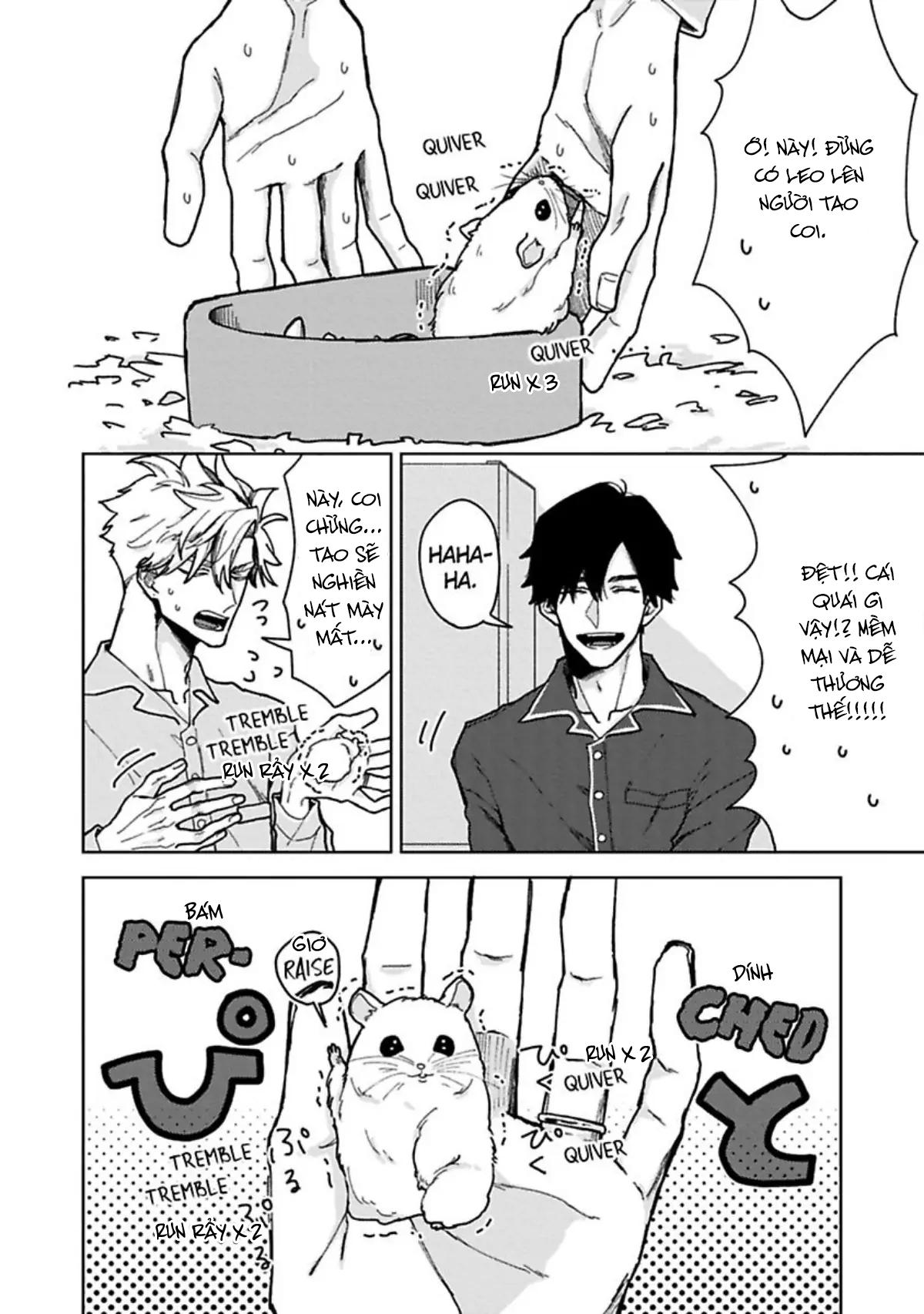 Lạc Lối Tình Yêu Chapter 6 -END - Trang 3