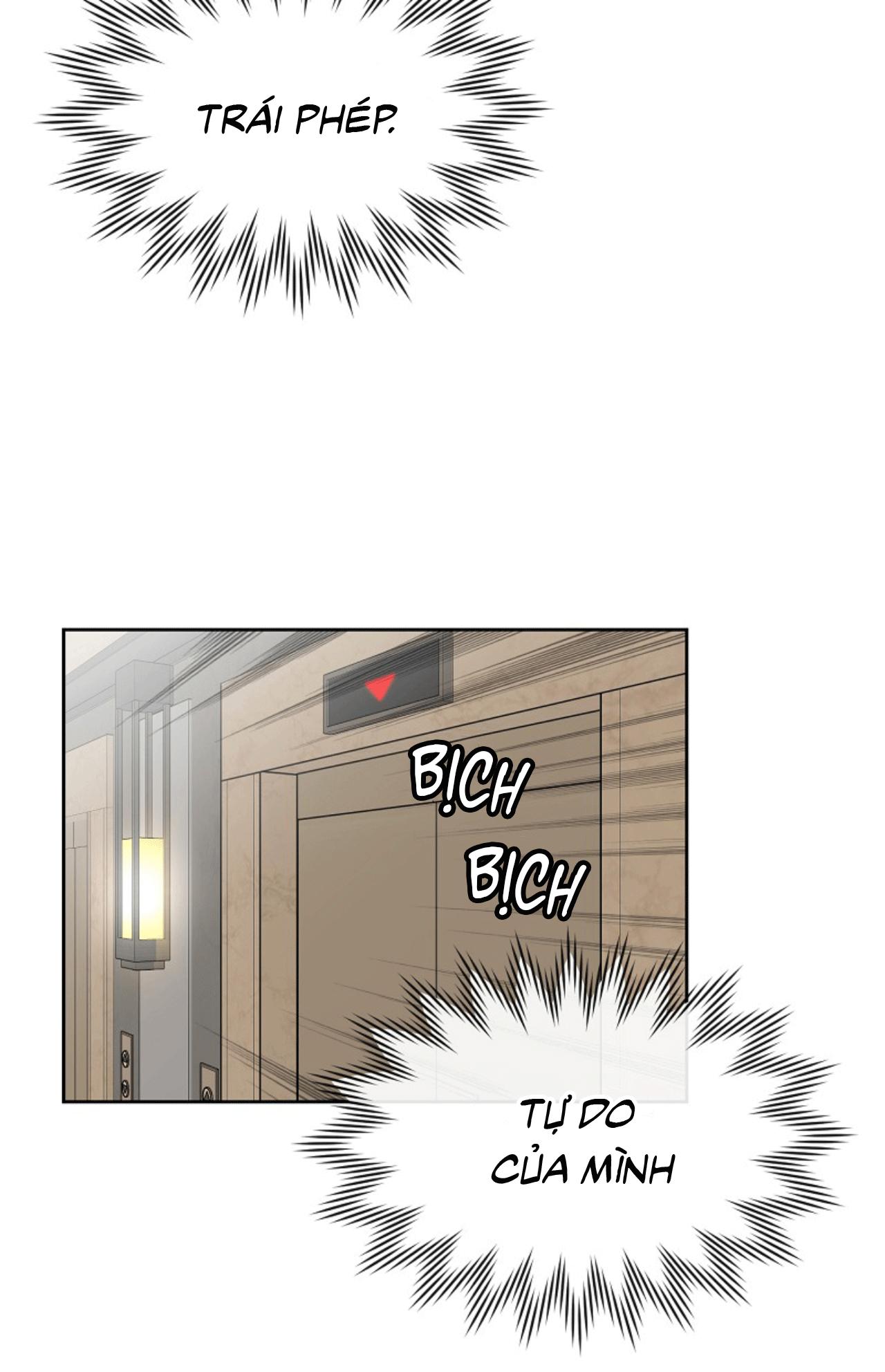 Làm sao đây? Tôi gặp phải quest công lược tổng tài tra nam rồi Chapter 33 - Trang 3