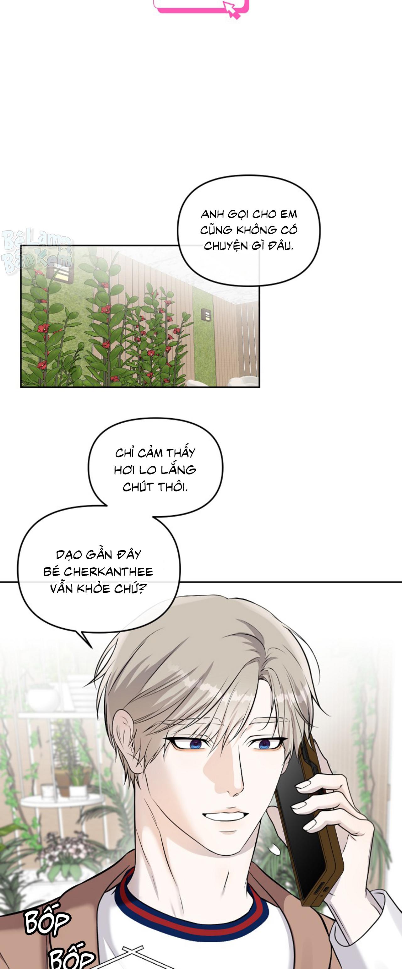 Làm sao đây? Tôi gặp phải quest công lược tổng tài tra nam rồi Chapter 36 - Next 