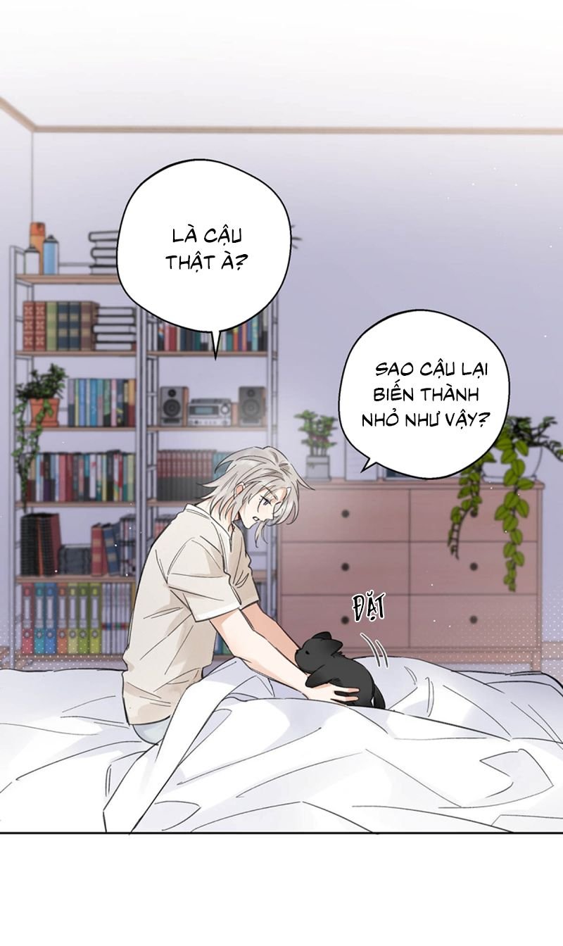 Lang Quân Muốn Chịu Trách Nhiệm Với Tôi Chapter 21 14