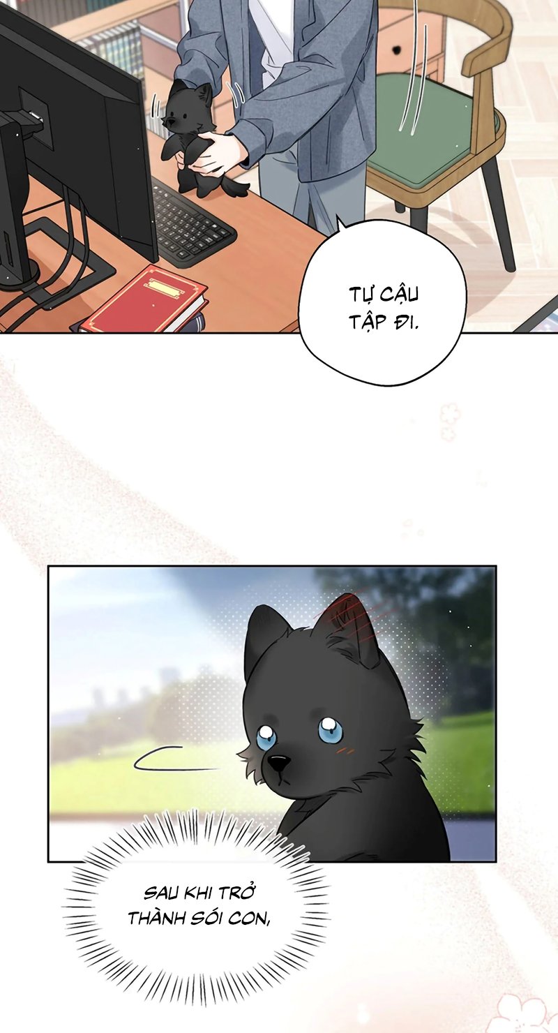 Lang Quân Muốn Chịu Trách Nhiệm Với Tôi Chapter 24 20