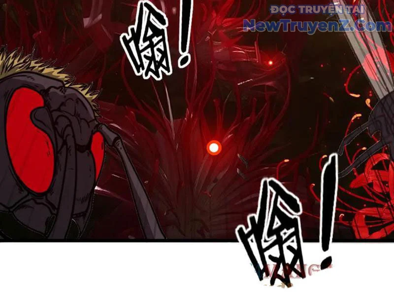 Lão Xà Tu Tiên Truyện Chapter 41 - Trang 2